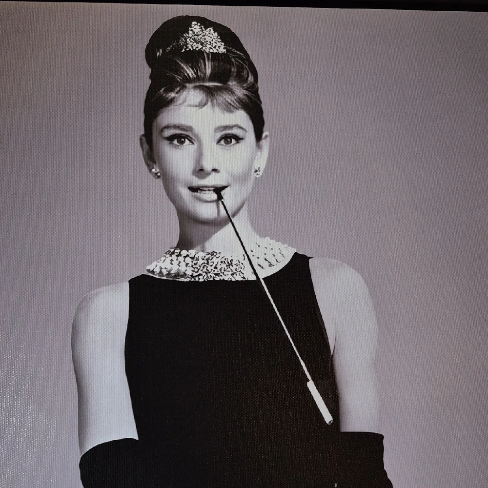 Audrey Hepburn Vibrant Creations Canvas Art